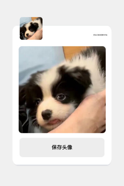 谁能拒绝这么可爱的修勾呢