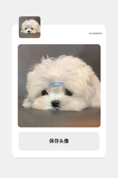 谁能拒绝这么可爱的修勾呢