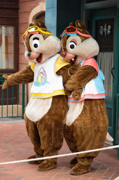 迪士尼 奇奇蒂蒂 Chip&Dale 大头兄弟