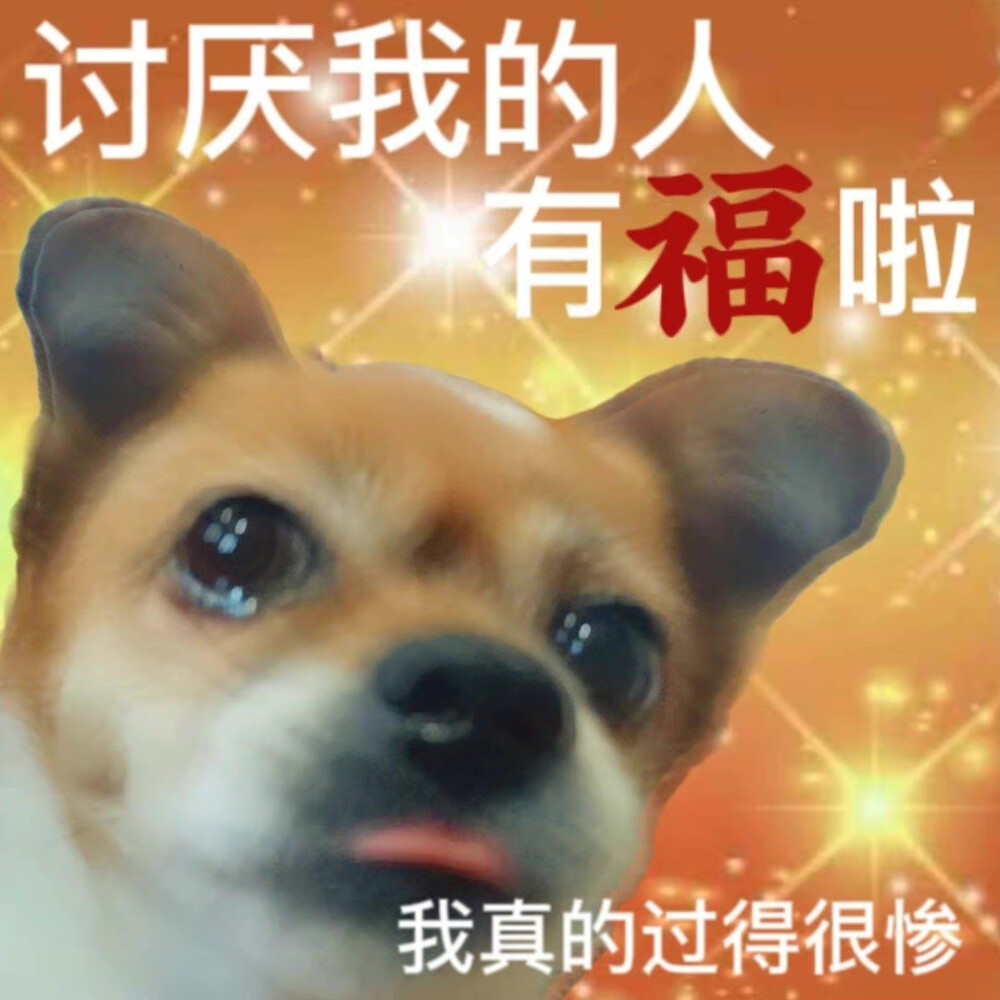 表情包