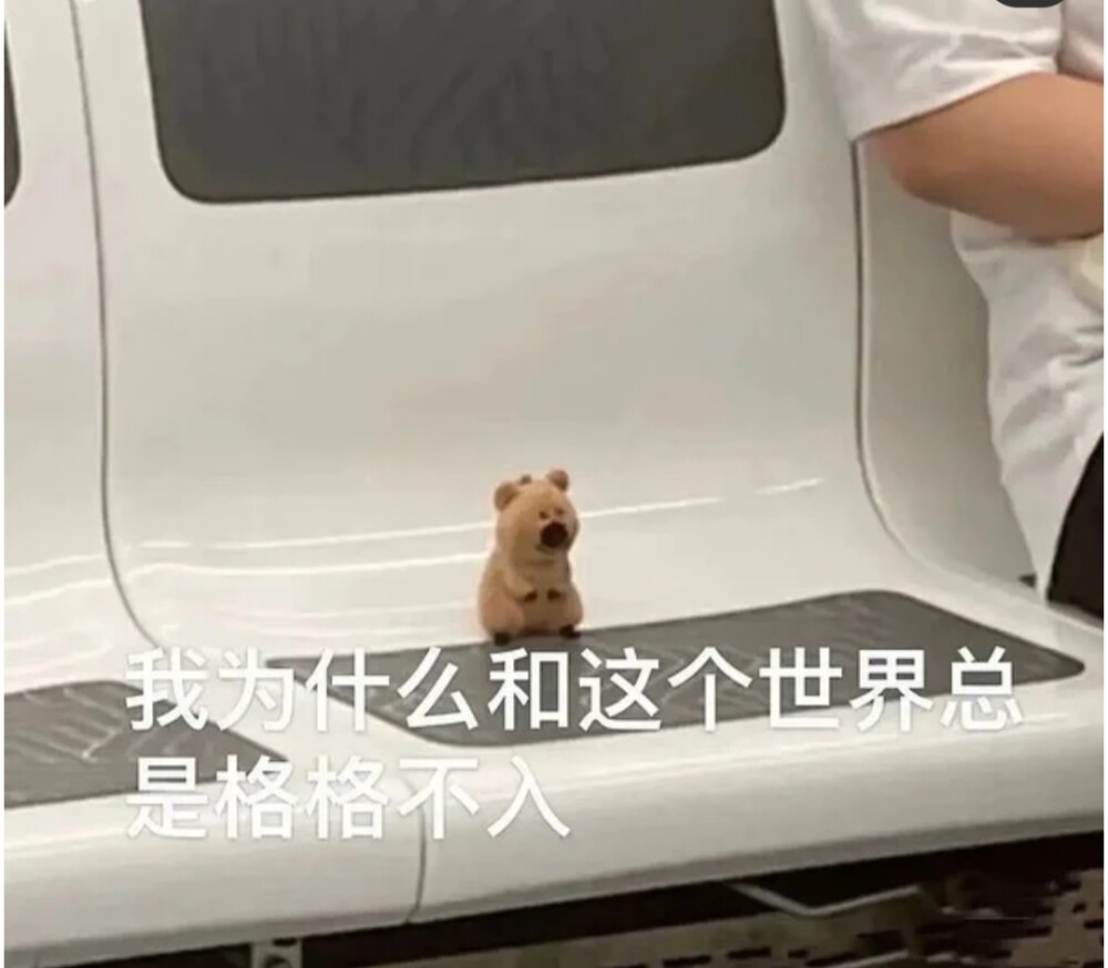 我为什么和这个世界总是格格不入 - 堆糖，美图壁纸兴趣社区