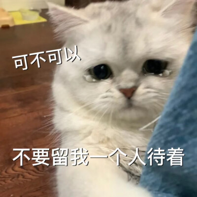 猫咪emo情侣表情包