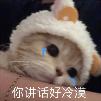 猫咪emo情侣表情包