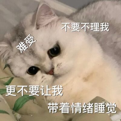 猫咪emo情侣表情包