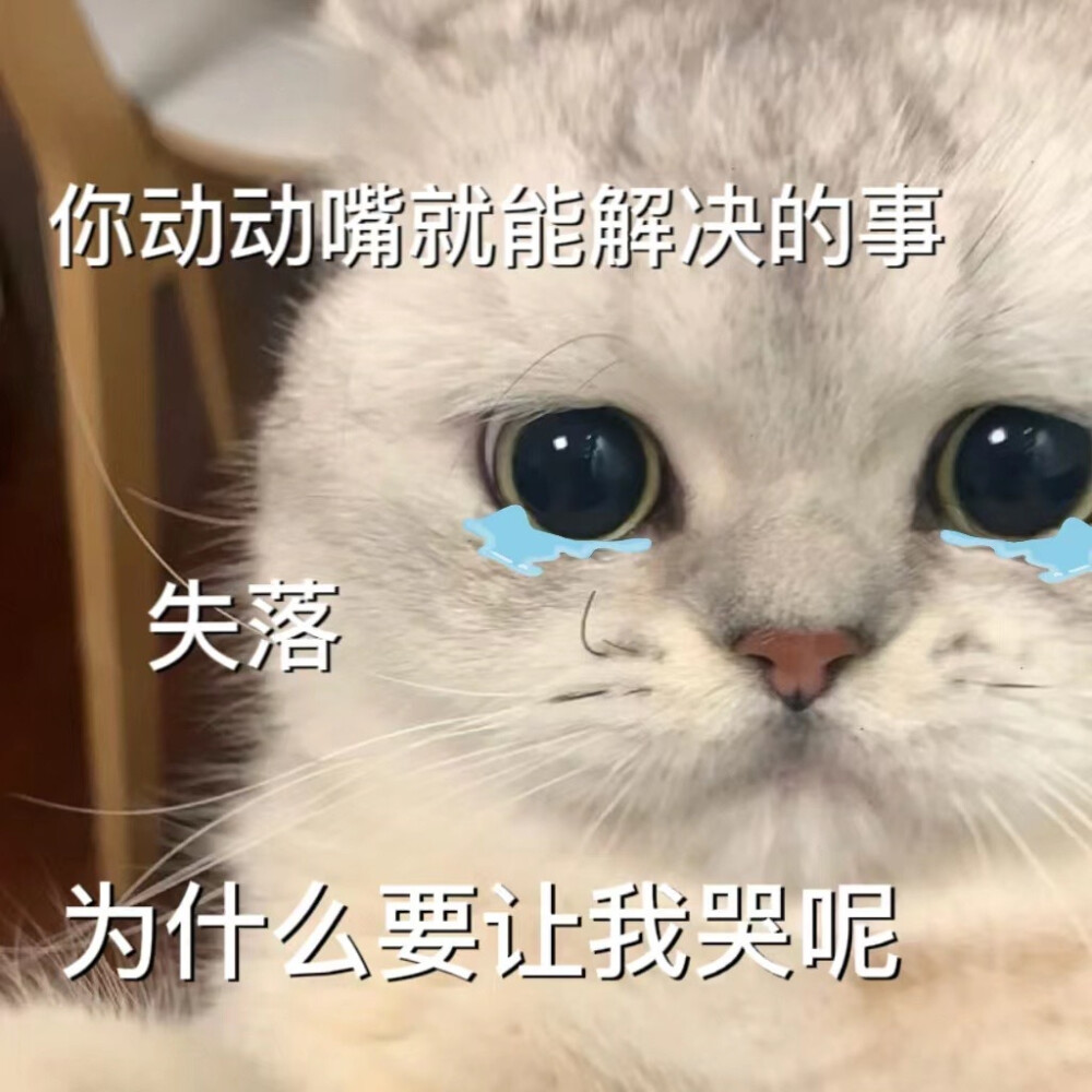 猫咪emo情侣表情包