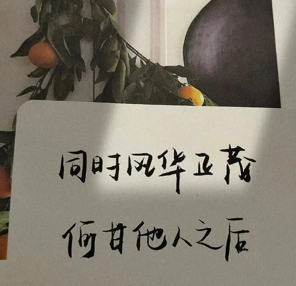 文字背景图