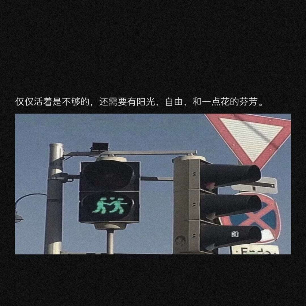 文字语录