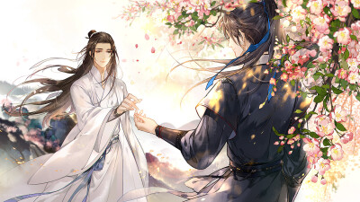 二哈和他的白猫师尊