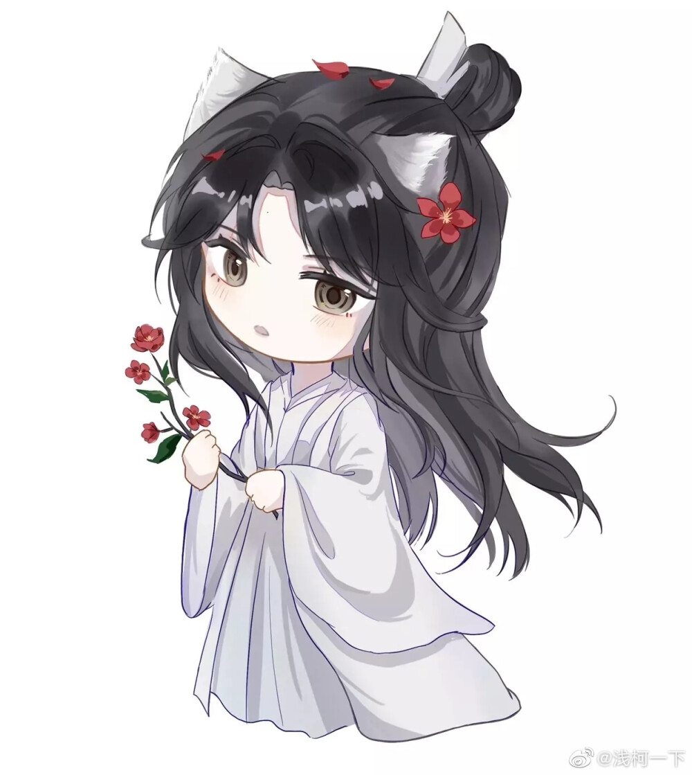 二哈和他的白猫师尊