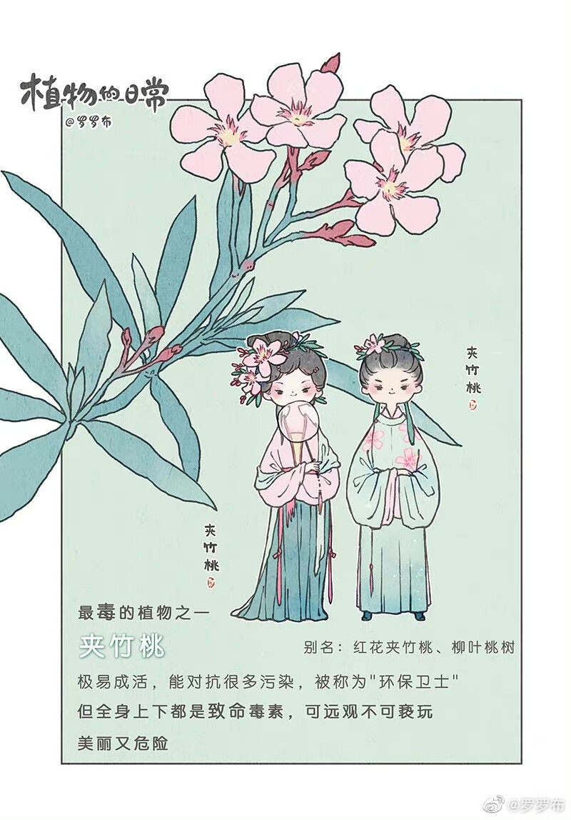 罗罗布 八月花