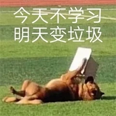 表情包