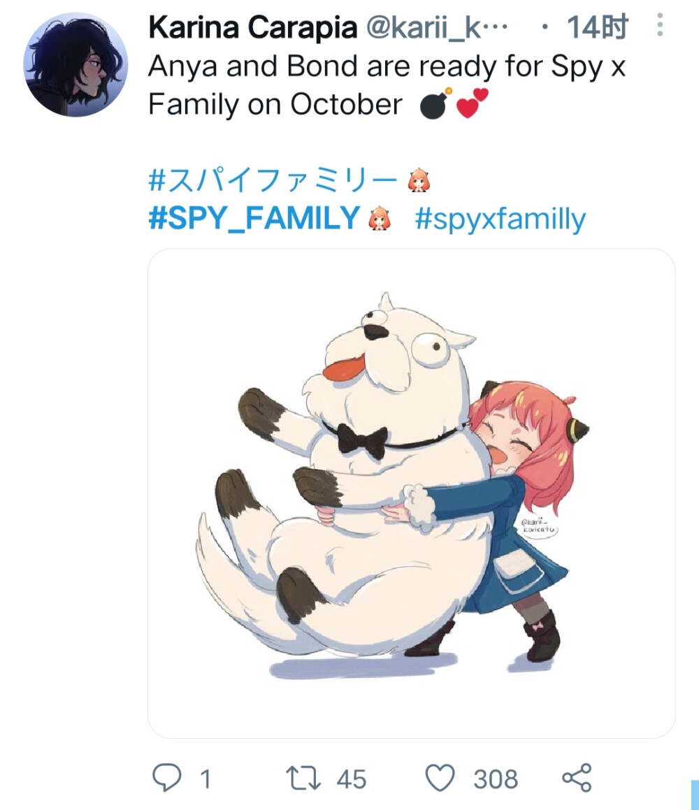 间谍过家家 侵删