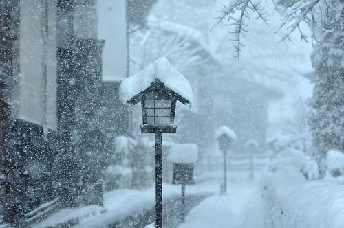 雪景