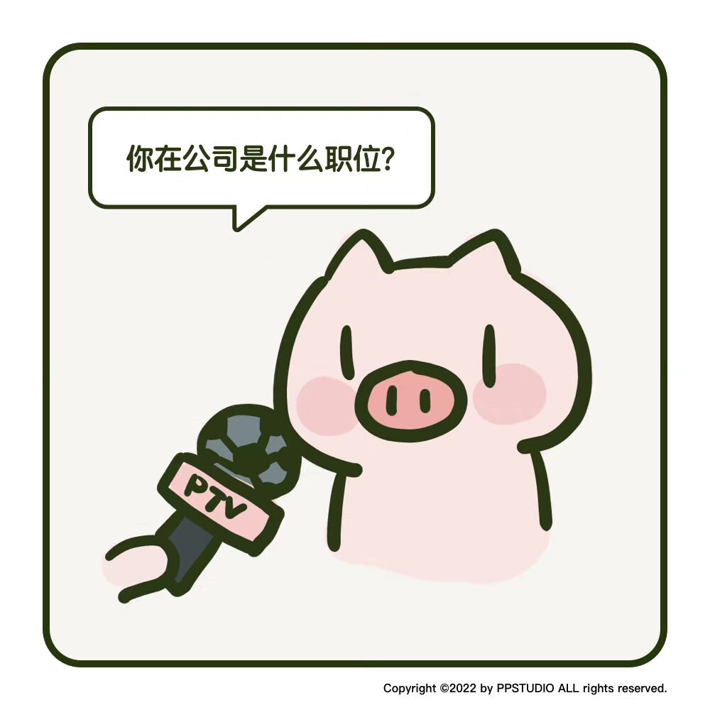 PP猪