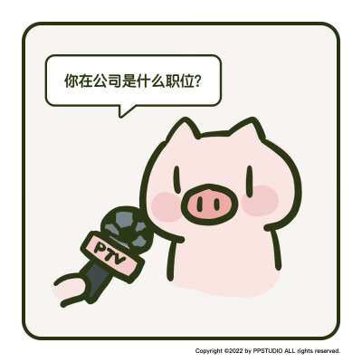PP猪