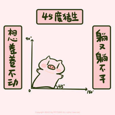 PP猪