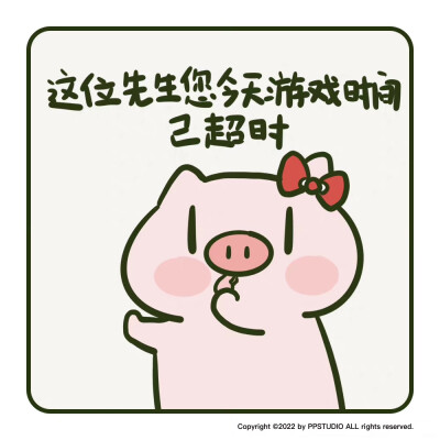 PP猪