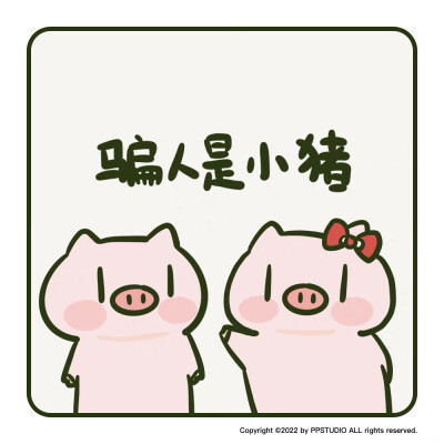 PP猪
