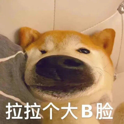 摆烂