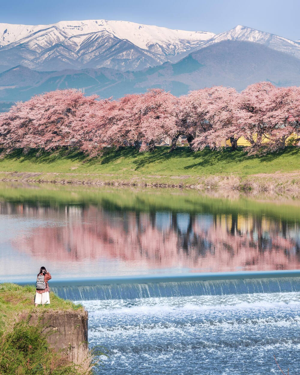 日本 宮城県 大河原 一目千本桜 