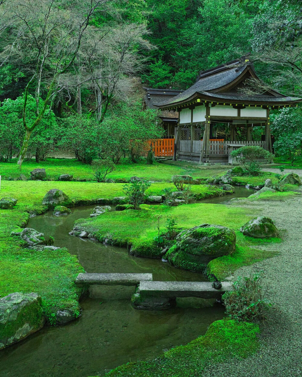 日本 京都 上賀茂神社 新绿 