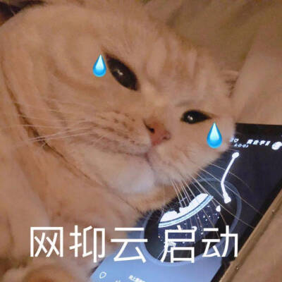 猫咪emo表情包