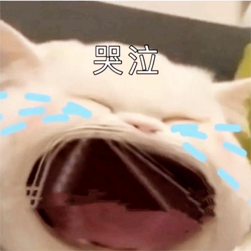 猫咪emo表情包