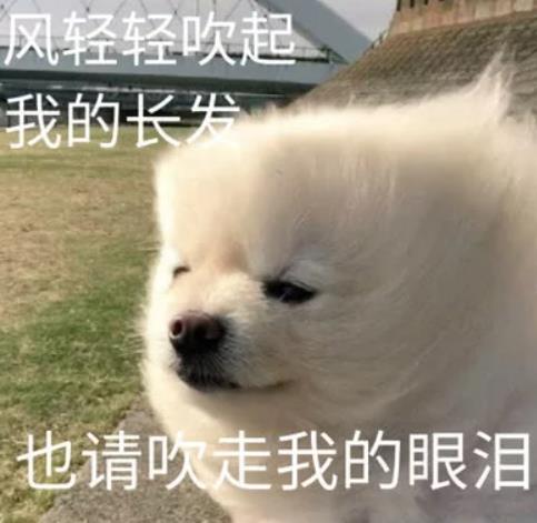 狗狗emo表情包