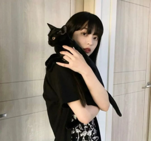 猫猫女头