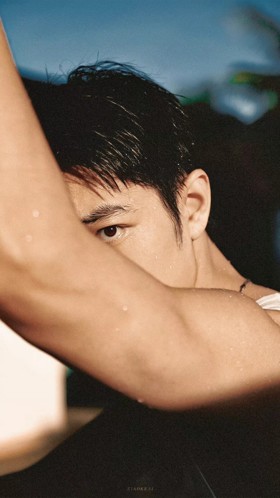 肖战- 堆糖,美图壁纸兴趣社区