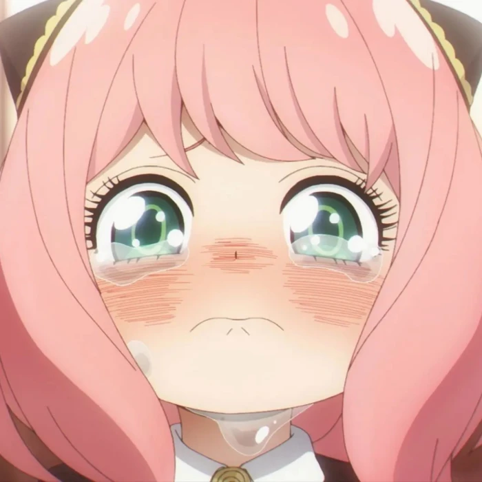 头像
《间谍过家家