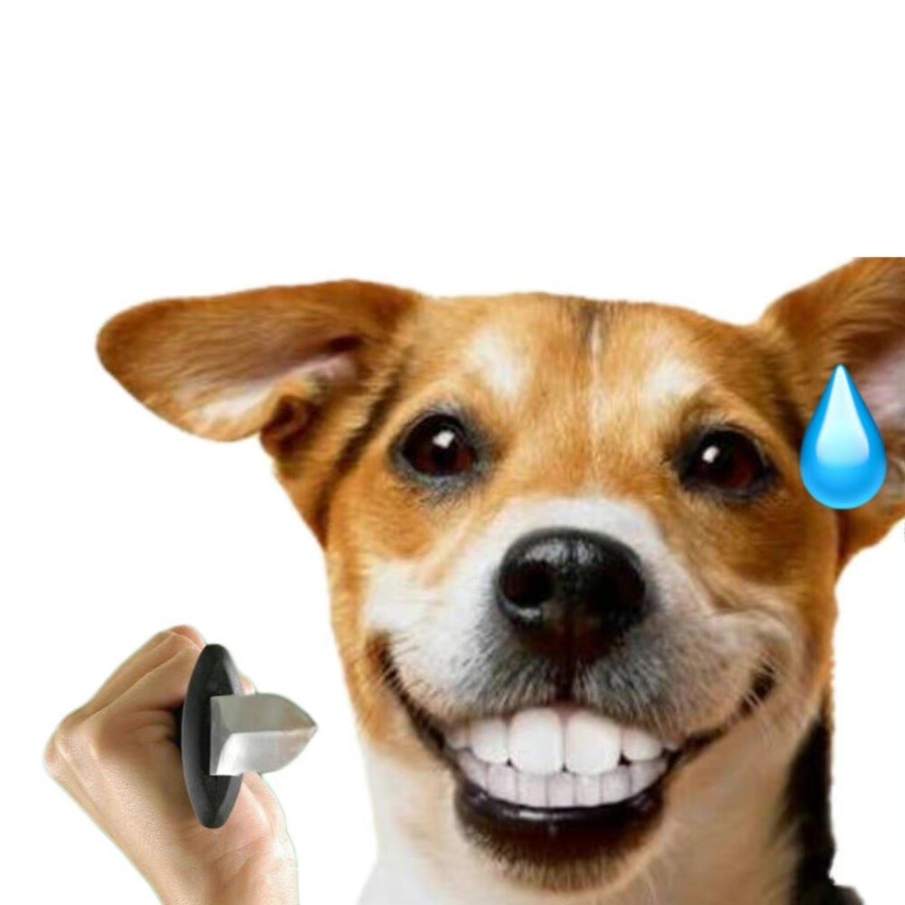 沙雕动物表情包