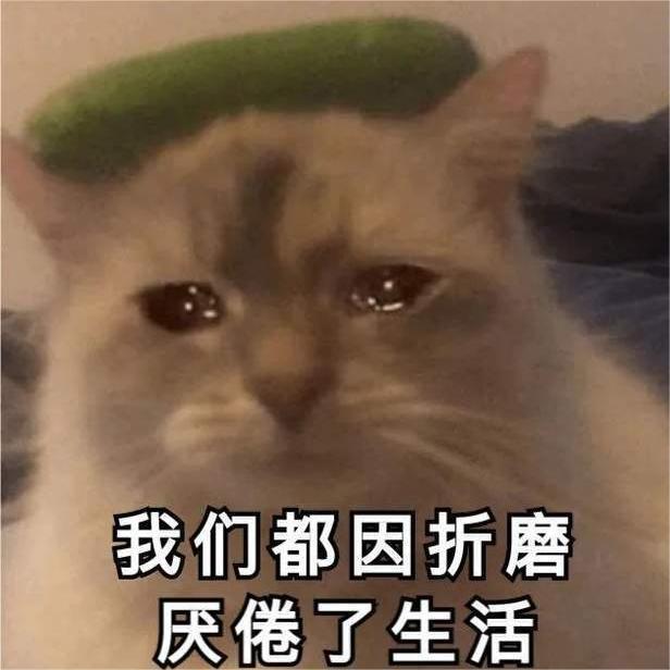 emo表情包