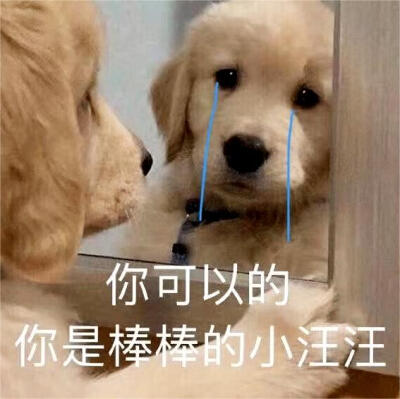 emo表情包