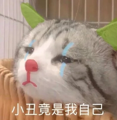 emo表情包