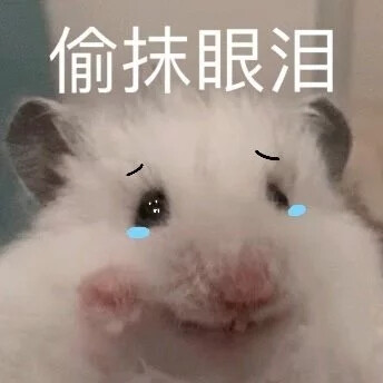 emo表情包