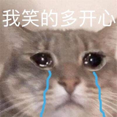 emo表情包