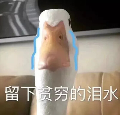 emo表情包