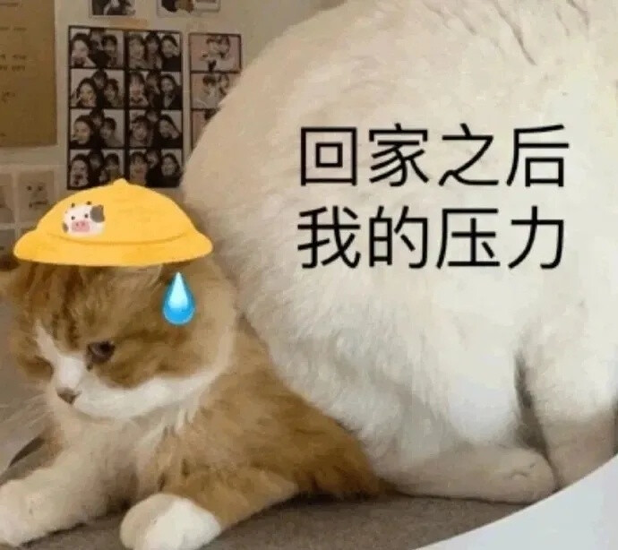 emo表情包