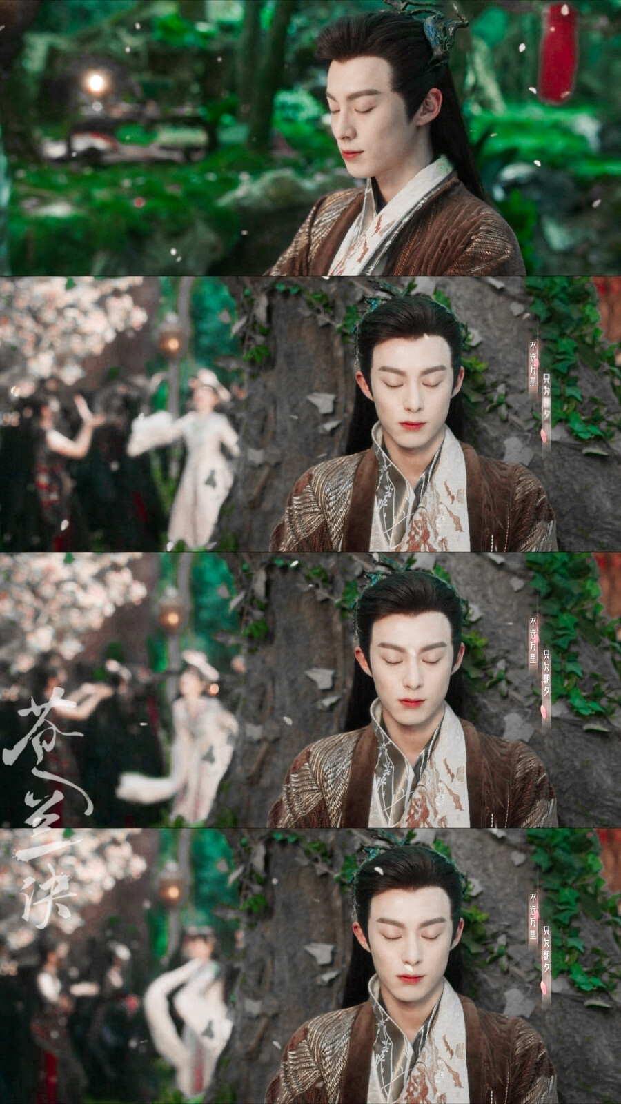 苍兰诀▪王鹤棣