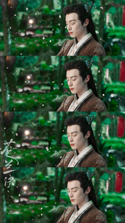 苍兰诀▪王鹤棣