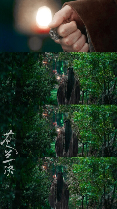 苍兰诀▪王鹤棣