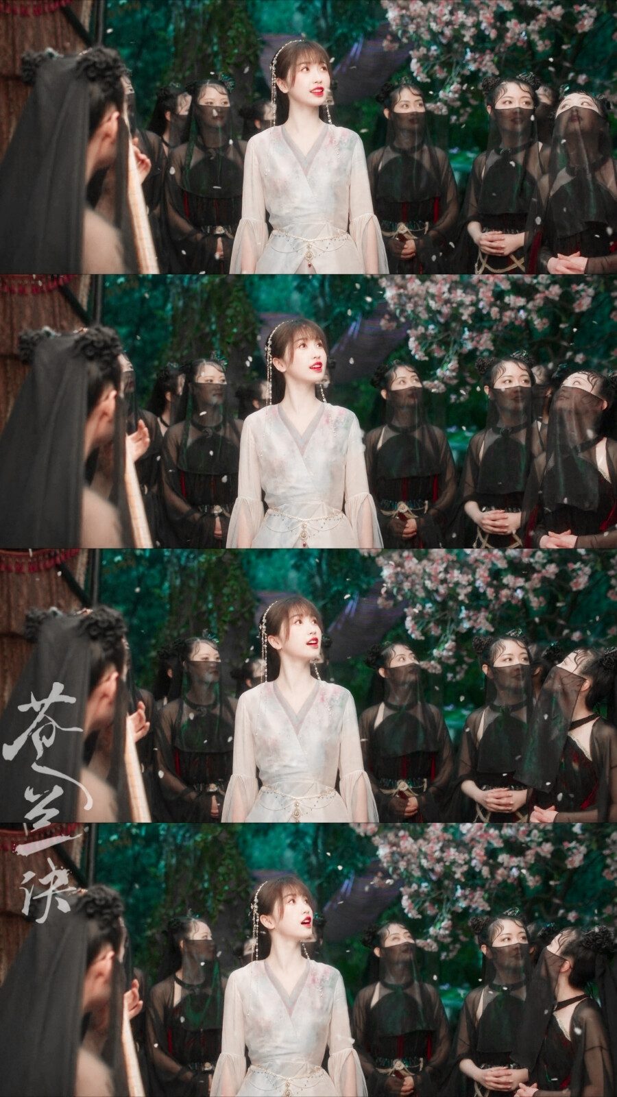 苍兰诀▪虞书欣