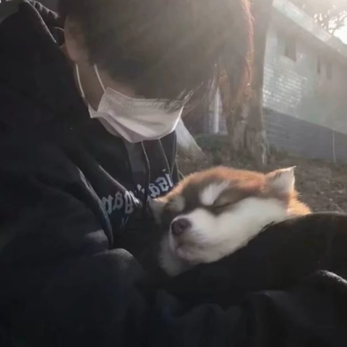 男头.