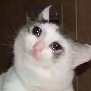 流泪猫猫头表情包