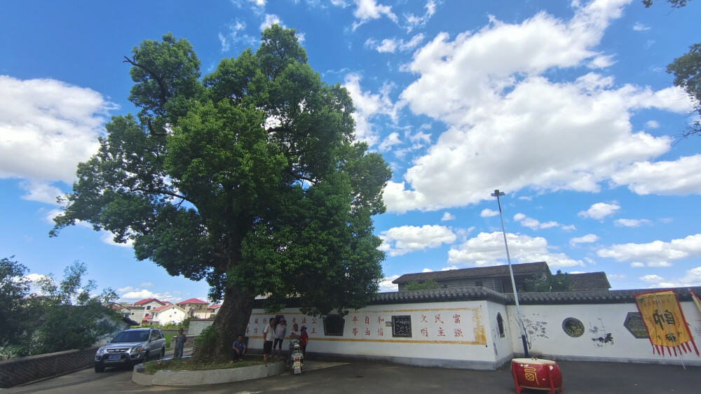 美丽吉安之乡村风采：走进泰和县上模乡老居村冲丘自然村