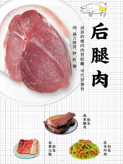 肉肉知识