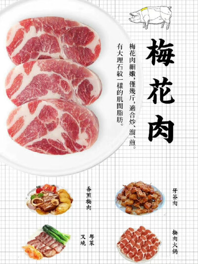 肉肉知识