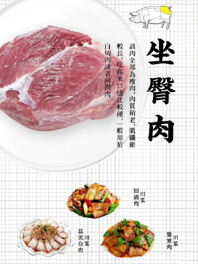 肉肉知识