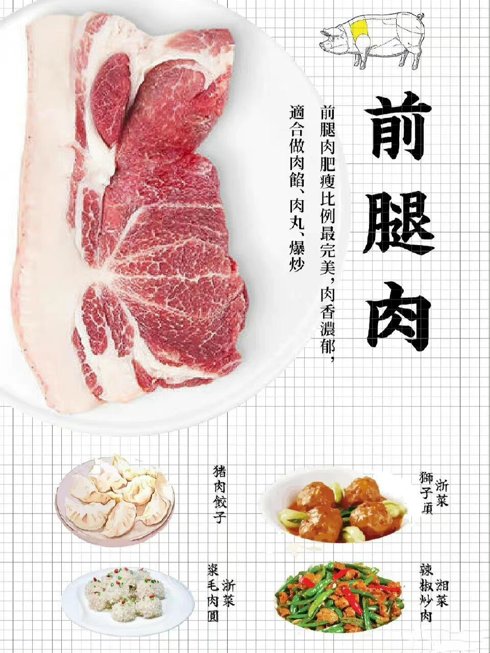 肉肉知识